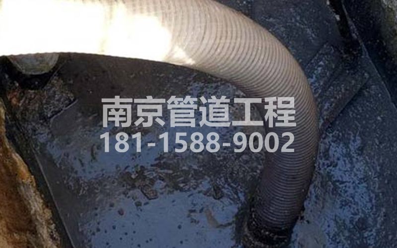 213摄山星城观梅抽粪