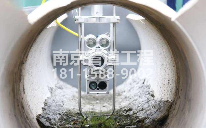 摄山星城观梅QV检测