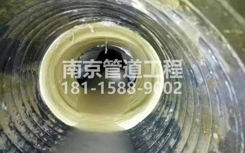 摄山星城观梅树脂修复