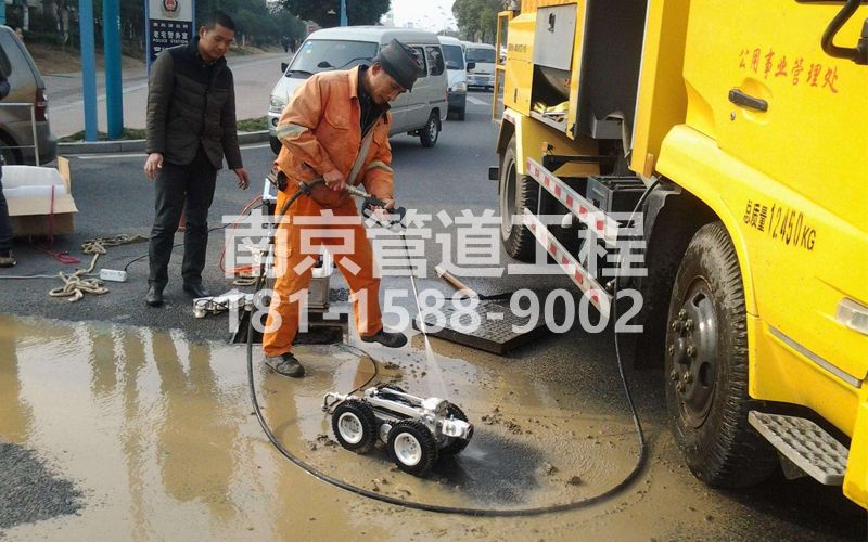 摄山星城观梅CCTV检测