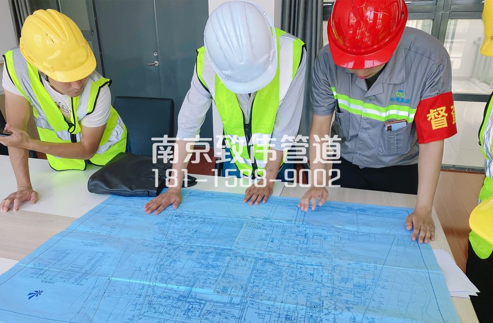 摄山星城观梅管道探测